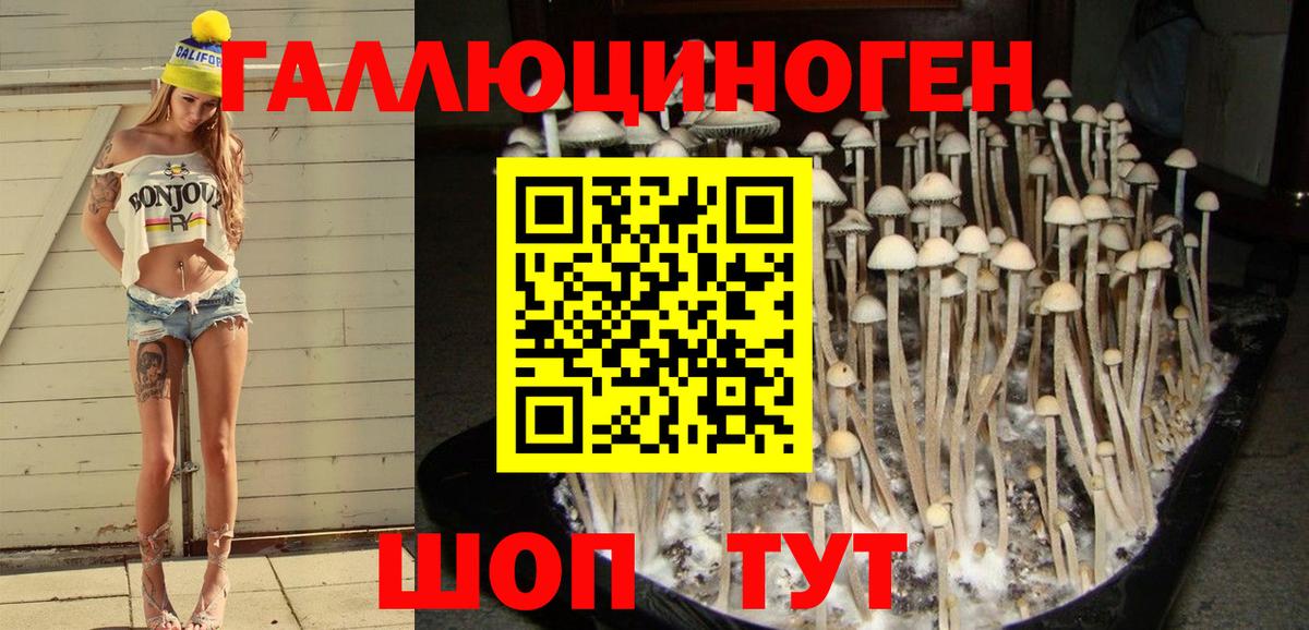 закладка  Псилоцибиновые грибы ЛСД  Вход с VPN  Златоуст 